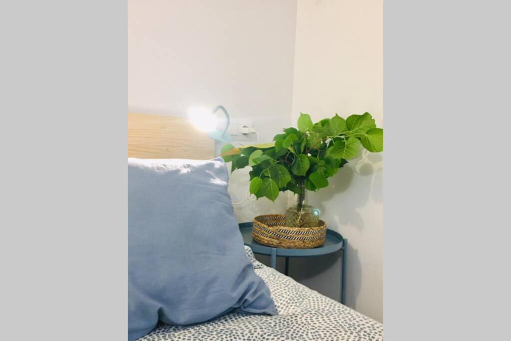 Apartamento Centro Catedral Botanico Διαμέρισμα Γρανάδα Εξωτερικό φωτογραφία
