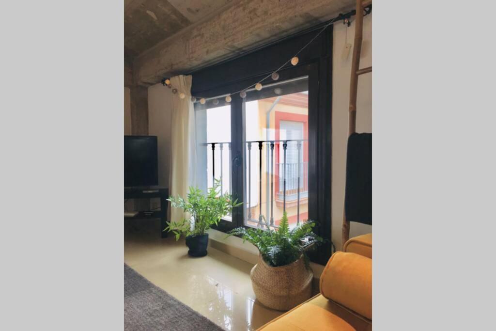 Apartamento Centro Catedral Botanico Διαμέρισμα Γρανάδα Εξωτερικό φωτογραφία