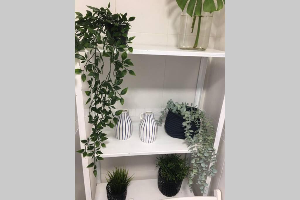 Apartamento Centro Catedral Botanico Διαμέρισμα Γρανάδα Εξωτερικό φωτογραφία