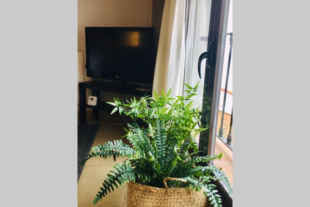 Apartamento Centro Catedral Botanico Διαμέρισμα Γρανάδα Εξωτερικό φωτογραφία